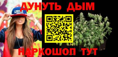 мет Кингисепп